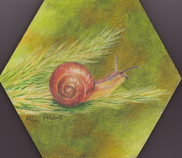 Alison Philpott, Time to Rest