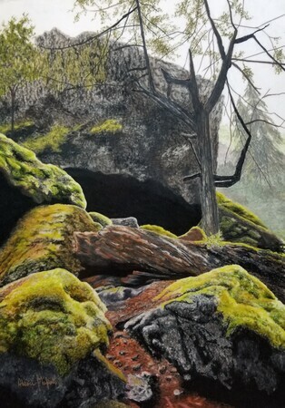 Alison Philpott, Sasquatch Caves