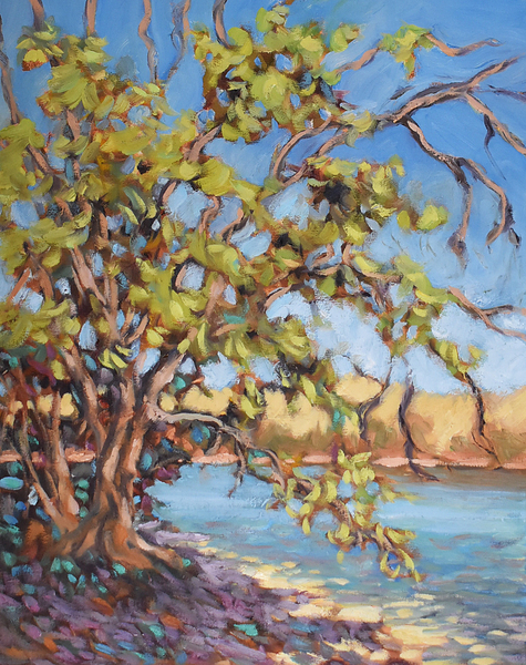 Ann Willsie, Kalamalka Summer's day   16 x 20 oil on canvas