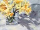 Anna Kopcok, Daffodils and Shadows
