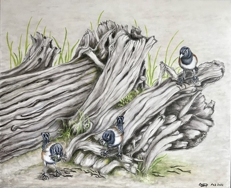 Pam Assi, Nest Building 101
