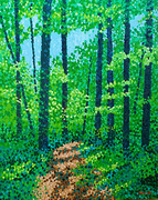 Jim Pescott, A Walk in the Woods