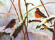 Wendy Mould. Varied Thrush. Signs of Spring